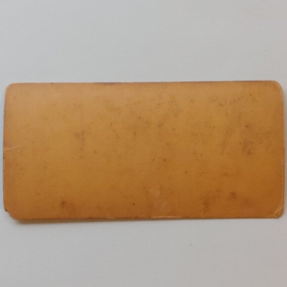 ANTIQUE Stereo View Card Stereograph Children "Does it rain?" - Picture 4 of 4